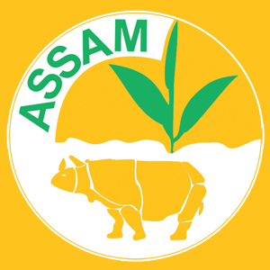 Assam / Dooars